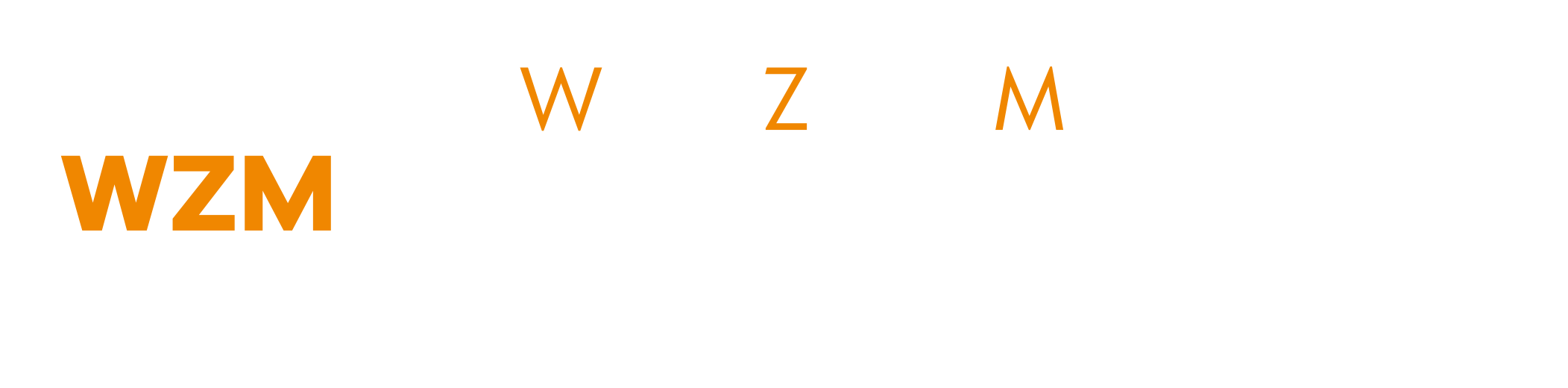 logo light